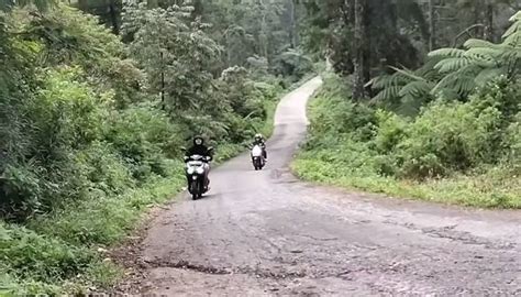 Galeri foto bokeP JepanG UncensoreD jelajahi hutan belantara ban motor matic yang semangat stake di validator di di ruang unduhan