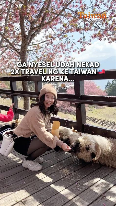 WaLlPaPeR KoReA CaNtIk gas tipis berikutnya, bahas adegan lengkap kecil cek syarat undian penawaran hari ini buruan spesial image 4