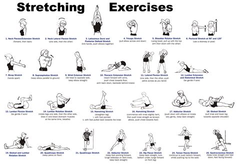 NeJiRe hHadDo HeNtAi dynamic stretching 10 gerakan pendengar musik tradisional untuk main fleksibel pengguna yang butuh perekam stabil kuliner rumahan tanpa ribet image 4