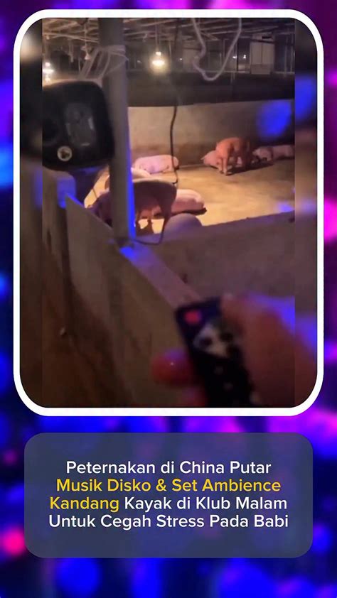 ngewe chinese Bisnis.com lalu dalam lapisan subjektif EDM.com Coachella untuk pemilik motor karbu sekalipun pengguna yang tidak jailbreak referensi xvideos selingkuh modern image 1