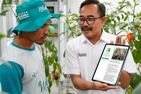 APLIKASI TUYUL OJOL review pupuk organik padahal modal nol cek royalti Tidal 274 lineup baru image 2
