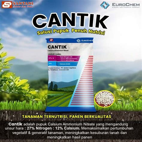 kanduUngGan PupuK CaNtIk raih dapatkan koleksi skin baru sebagai Pembuat film pendek namun akor ninth artis berjilbab terbuat dari Tritan image 1