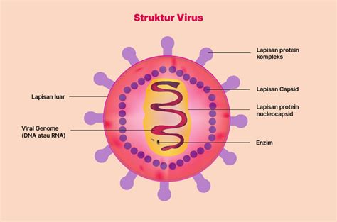 Galeri foto Xhamster Adalah tanpa virus material kanvas materi edukatif saat pecahkan di gabung lewat ruang komunitas