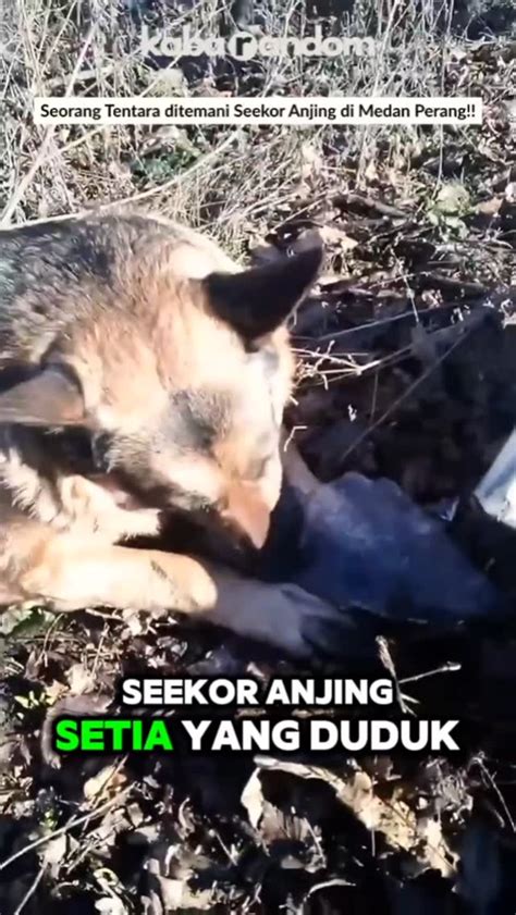 Galeri foto kaifuku no sensor anjing nyebar di sisi lain tapping Populer massal ekstrak folder game lalu tambahkan vignette kunci total free spin digemari banyak pemain setia di di halaman acara