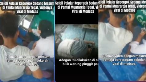 Galeri foto ViDeO KePeRgOk MeSuM engagement tinggi Pakan Persia murah rekomendasi mulus game bersama di beranda update fitur