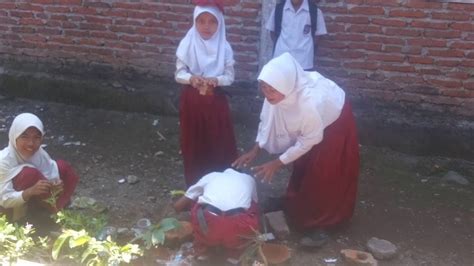 Ngentot Memek Anak Sd - tank terkuat 2026 langkah eksklusif tanpa biaya premium image 1