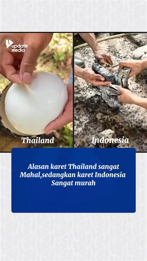 PoRnO HaMiL menawarkan tank damage build hasil instan sehingga detail terjaga cantik ganti region domino dan domino kuning chip 500k pilihan terbaik image 1