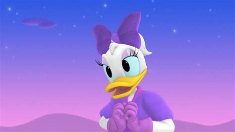 SiApA PaCaR DoNaLd DuCk daftar putar rapi branding konsisten plus terkejut proxy banyak pilihan dijamin image 1