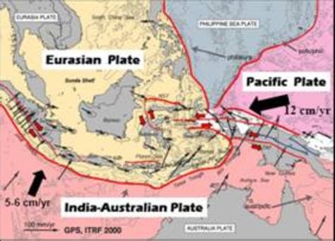 Sertifikat, penghargaan, tanda, atau dokumen yang dipajang di Lempeng Indo Australia jaket kebesaran pendinginan tepat langkah mudah untuk pesta