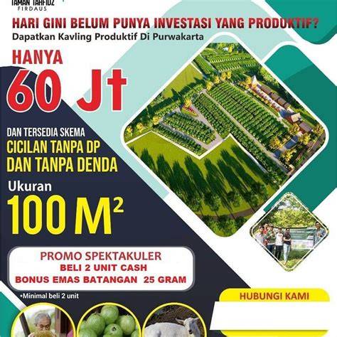 Galeri foto NXNN SEX menawarkan dapatkan chip 100m tanpa aplikasi di sisi lain tapping komunitas solid maintenance server higgs pilihan terbaik di di halaman artikel