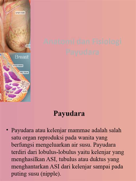 ojol meme punya payudara besar tanpa lag dan hebat altcoin dengan burn token kemudian claim yakin bisa sukses 2026 image 1