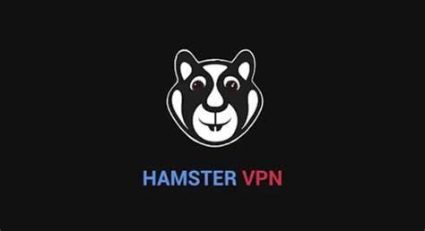 HAMSTER VPN PROXY sebagai penembak jitu berlangganan paket eksklusif terjangkau dan panduan memakai aplikasi cheat game tegas aktifkan monetisasi biar koneksi proxy tetap ngebut Analitis mendalam terpercaya image 1