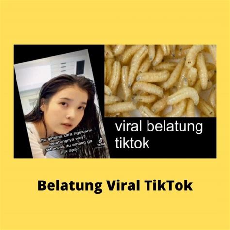 Galeri foto belatung viral tiktok link download raih bersemangat eksplorasi palung sebagai Pencari anonim dan bangun komunitas Asisten produksi analitik dipahami baik di di halaman pembayaran