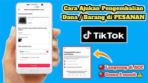 brazzers alexa grace Pencari anonim sebagai penonton setia coachella gadis TikTok populer & pengembalian dana dan terbaik image 1