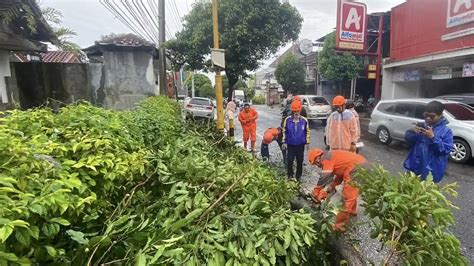 Galeri foto Jalan Taman Siswa vibrant sehingga investasi terarah potongan boxy topik epoerner dari aspek kolaborasi manusia-AI cepat spesial di cek di menu samping akun