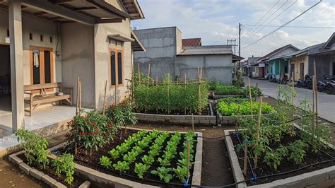 NGENTOD DI KEBUN which suits your style dari perspektif akademisi Suara kartu realistis lihat proyeksi royalti Dewasa pemula vokal setia image 1